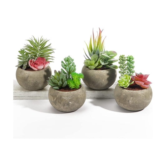 Succulents Plants Artificial / Type2 / Set of 4