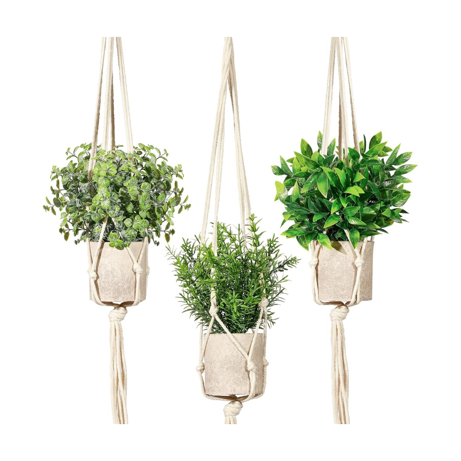 Artificial Plants Mini Fake Hanging / Eucalyptusgreen / Set of 3