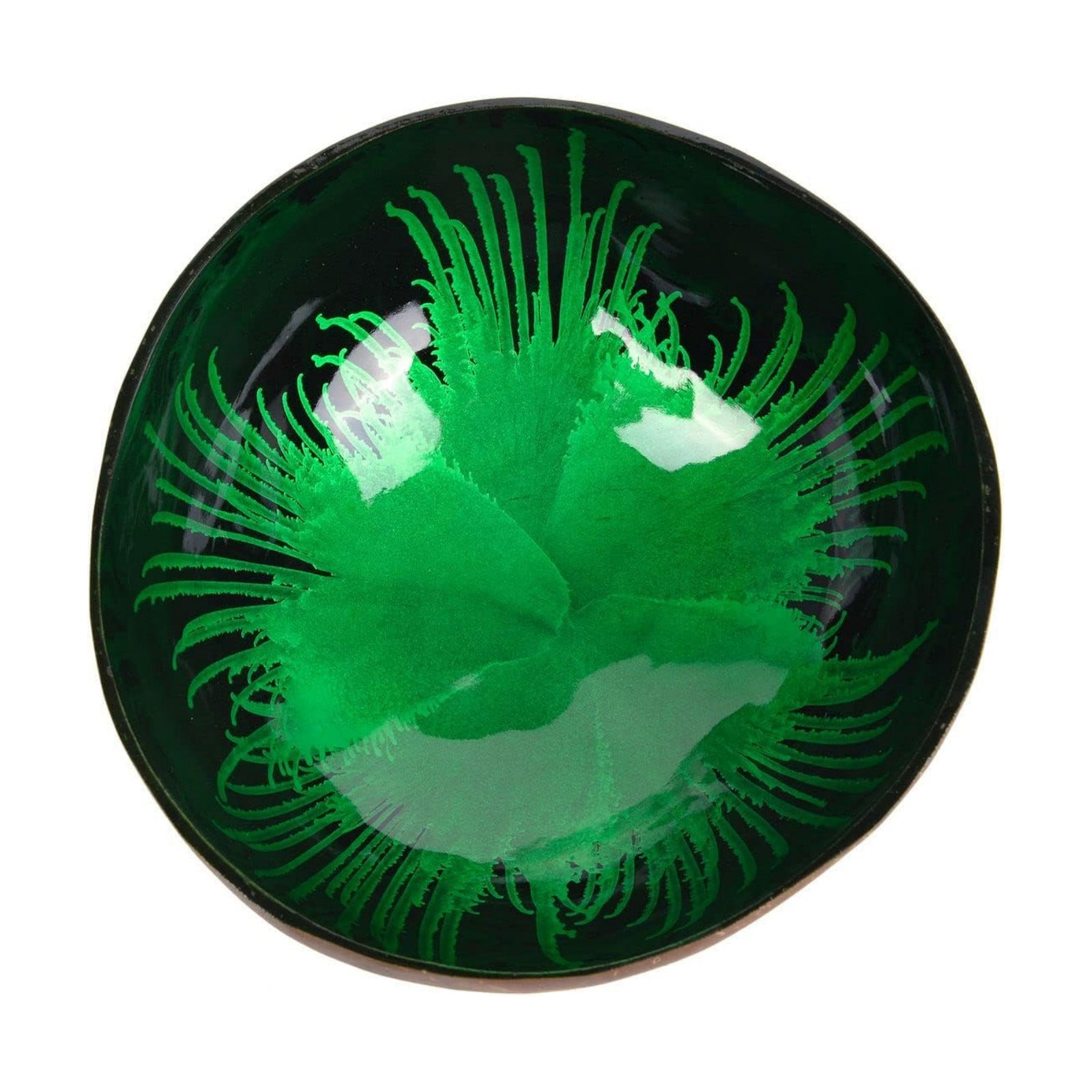 Natural Coconut Bowl / Feather Green
