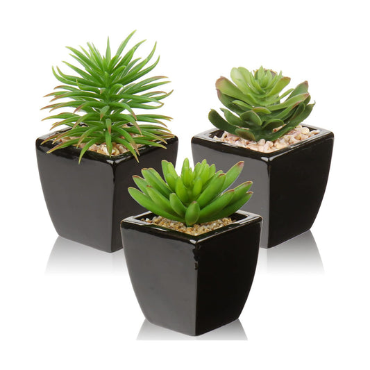 Small Succulents Artificial Faux Succulents in Pots Fake Succulent Plants / Black Ceramic / Set of 3