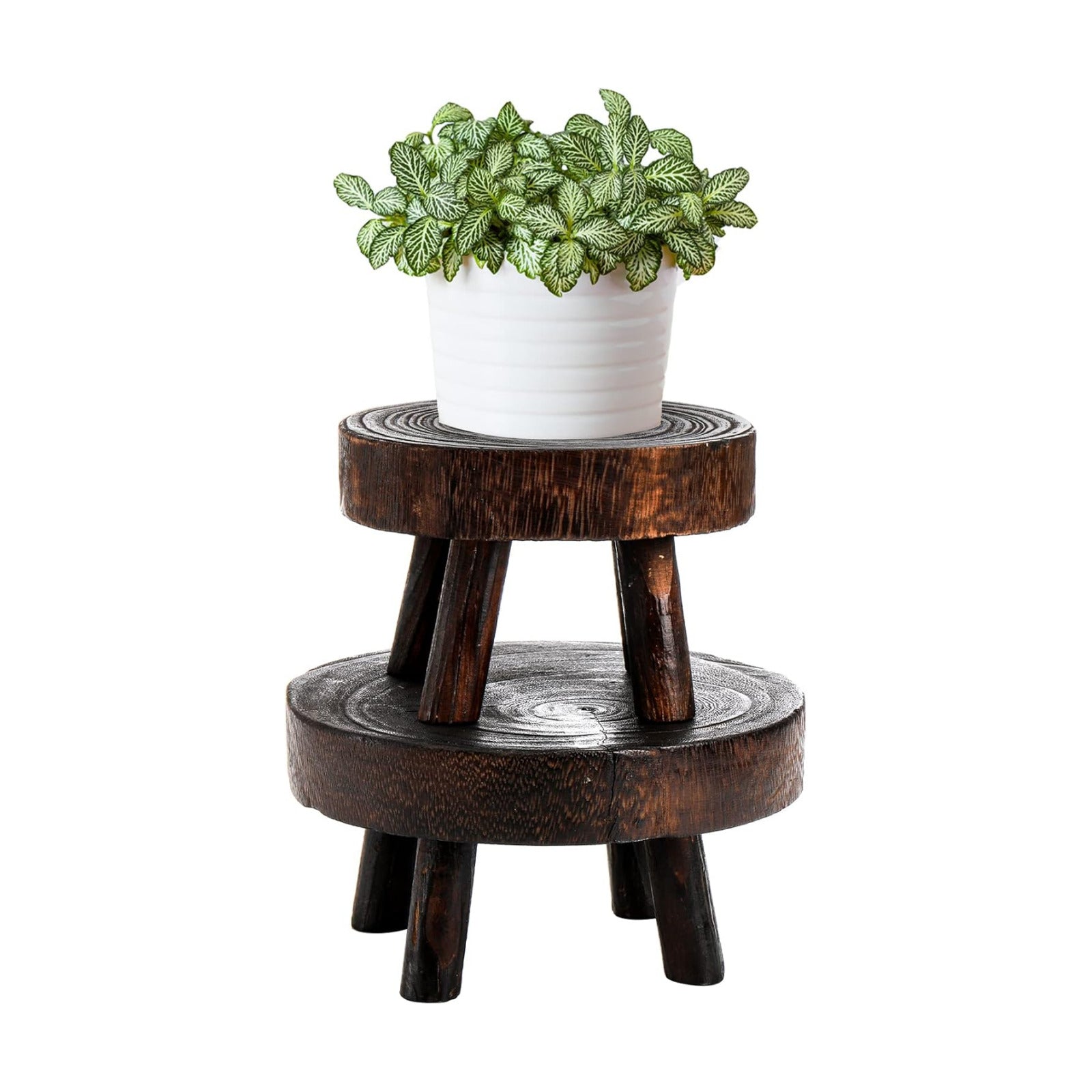 Mini Wooden Stool Display Stand / Set of 2