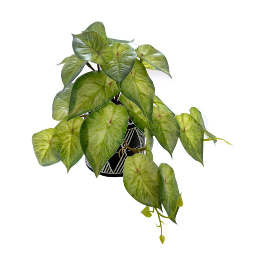 Faux Plant Decor Potted Artificial Small Greenery Ivy Leaves Plants / Ivy Leaf / Black