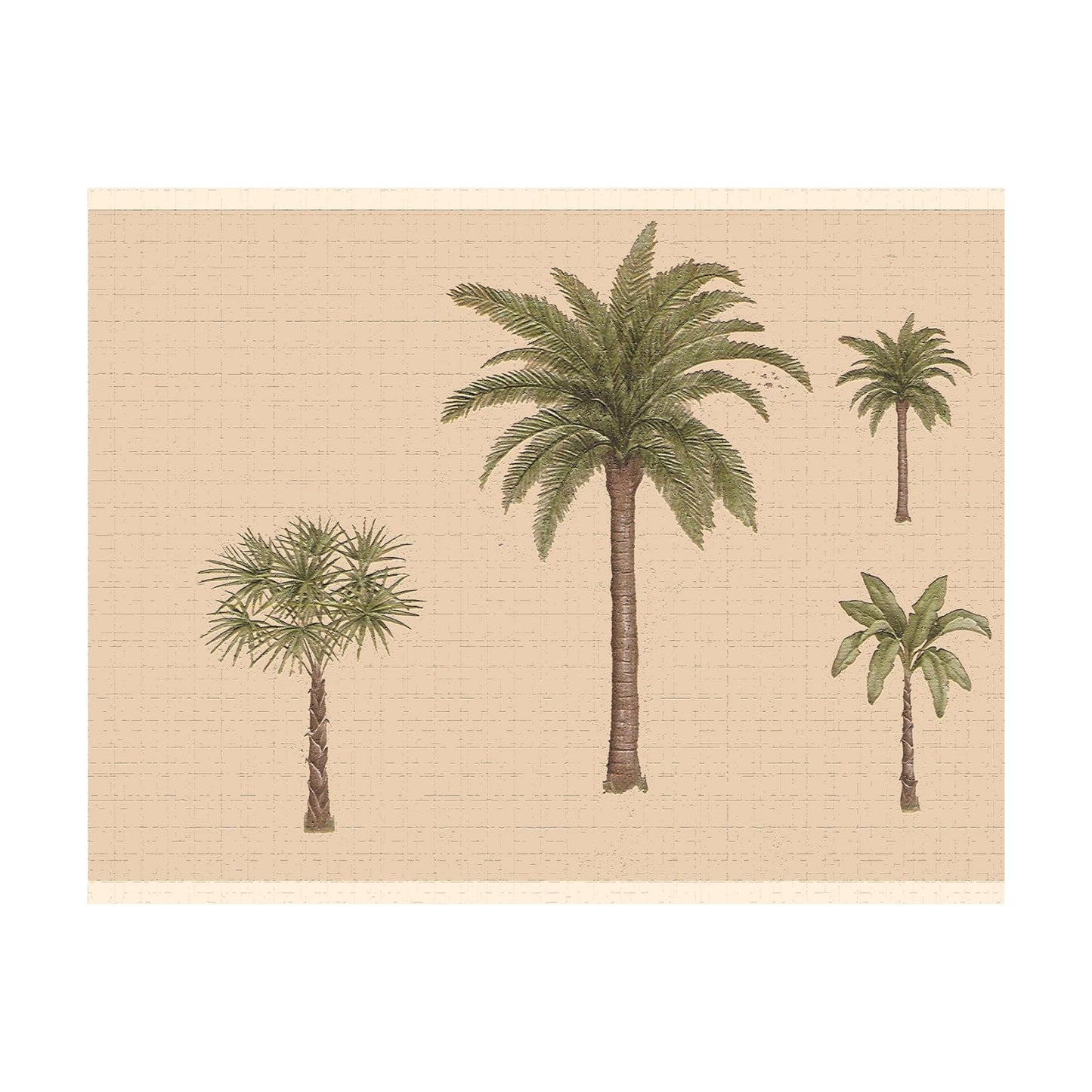 Wallpaper Border Peel and Stick DDAZBD9325 / Green / 15 ft