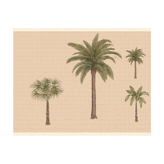 Wallpaper Border Peel and Stick DDAZBD9325 / Green / 15 ft
