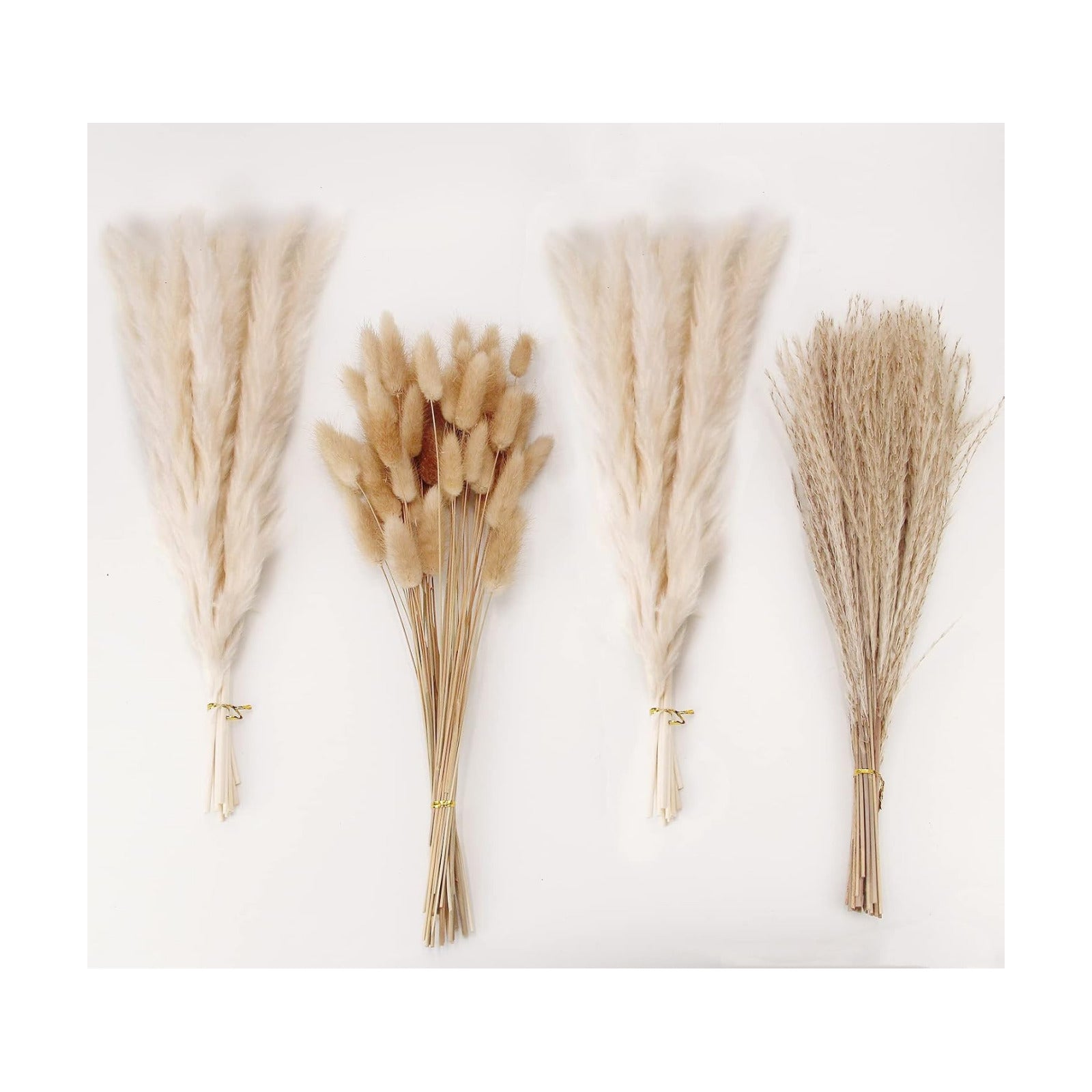 Natural Dried Pampas Grass Decor, White Pampas Grass， Bunny Tails Dried Flowers, Reed Grass Bouquet for Wedding Boho