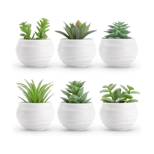 Succulents Plants Artificial in Pots Small Fake Plants / Green / Set of 6