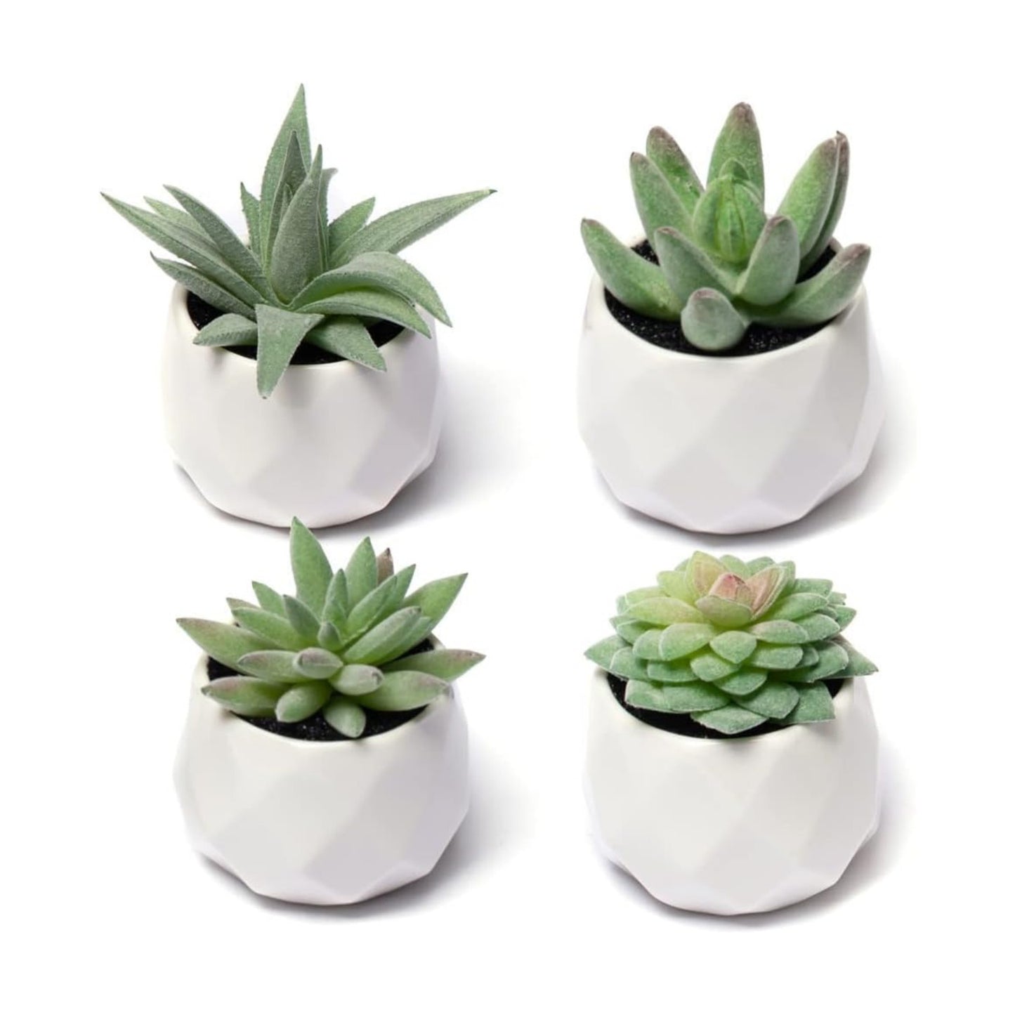 Artificial Plants for Women Desk