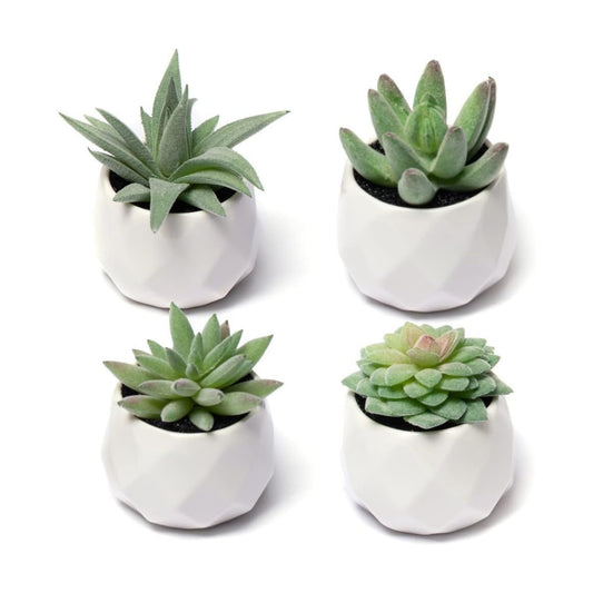 Artificial Plants for Women Desk