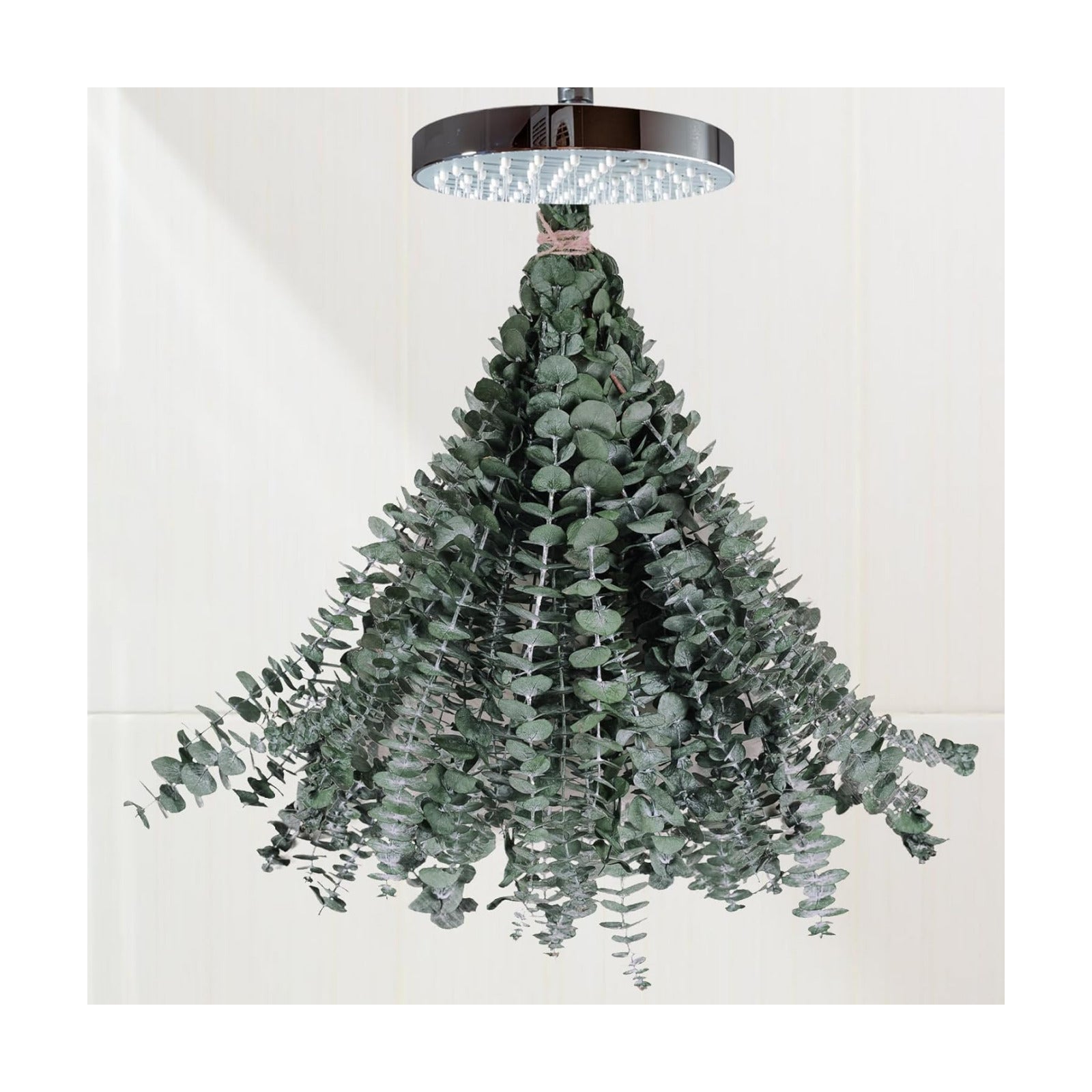 Preserved-Dried-Eucalyptus-Branches / Green / Set of 16