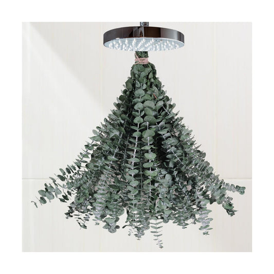 Preserved-Dried-Eucalyptus-Branches / Green / Set of 16
