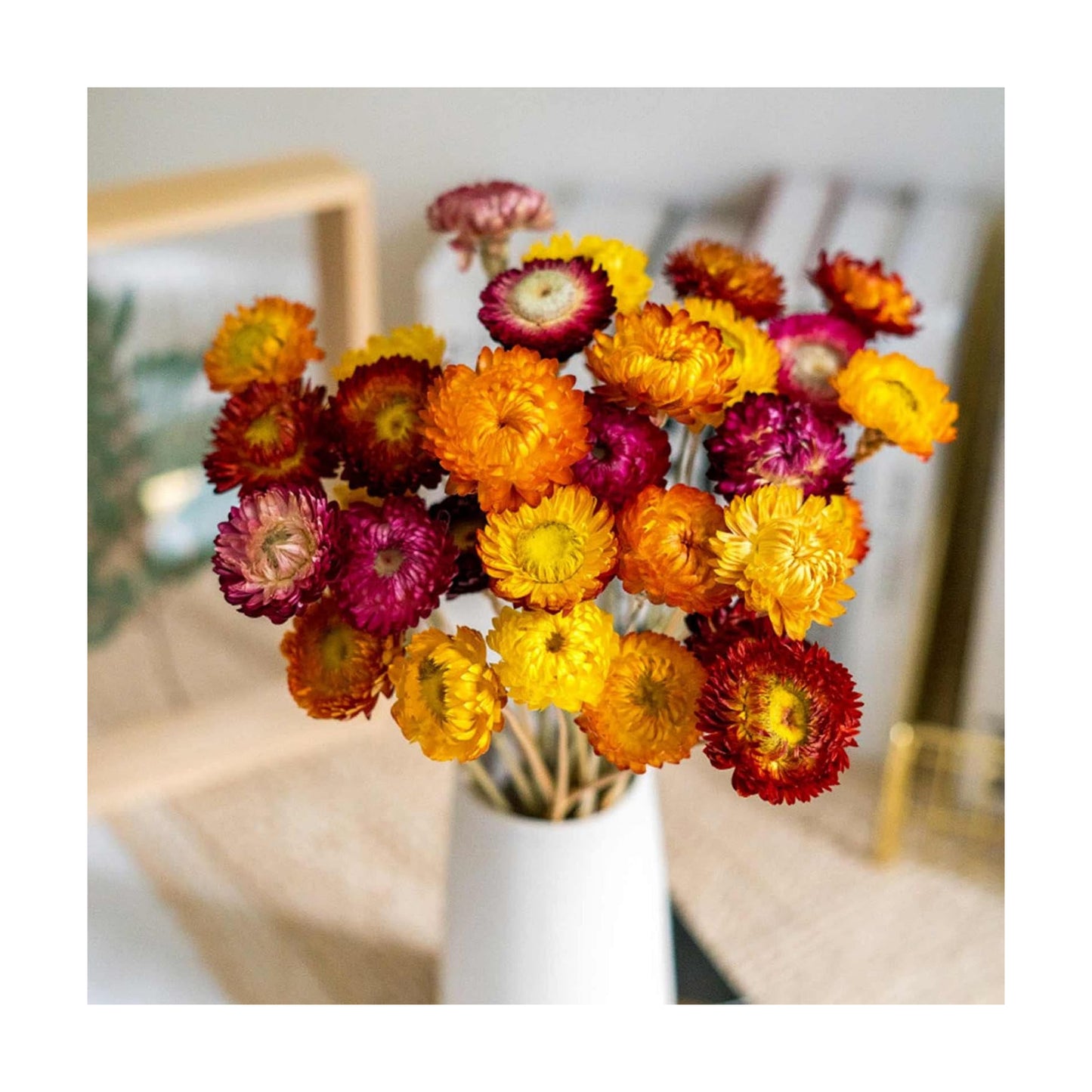 Dry Flower Arrangements / Multi Color / Natural / Set of 20