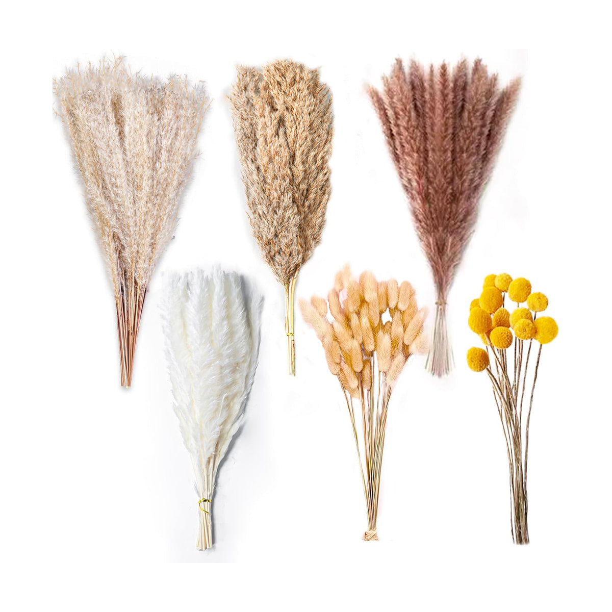 Natural Dried Pampas Grass Decor - 17.5" 100Pcs Fluffy Pampas Grass Bouquet
