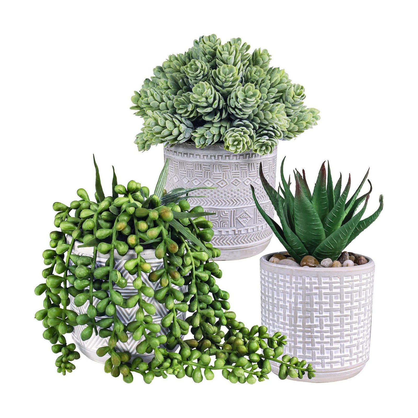 Assorted Small Potted Succulent Plants Fake Aloe String of Pearls Hops Succulents / Gray / Set of 3