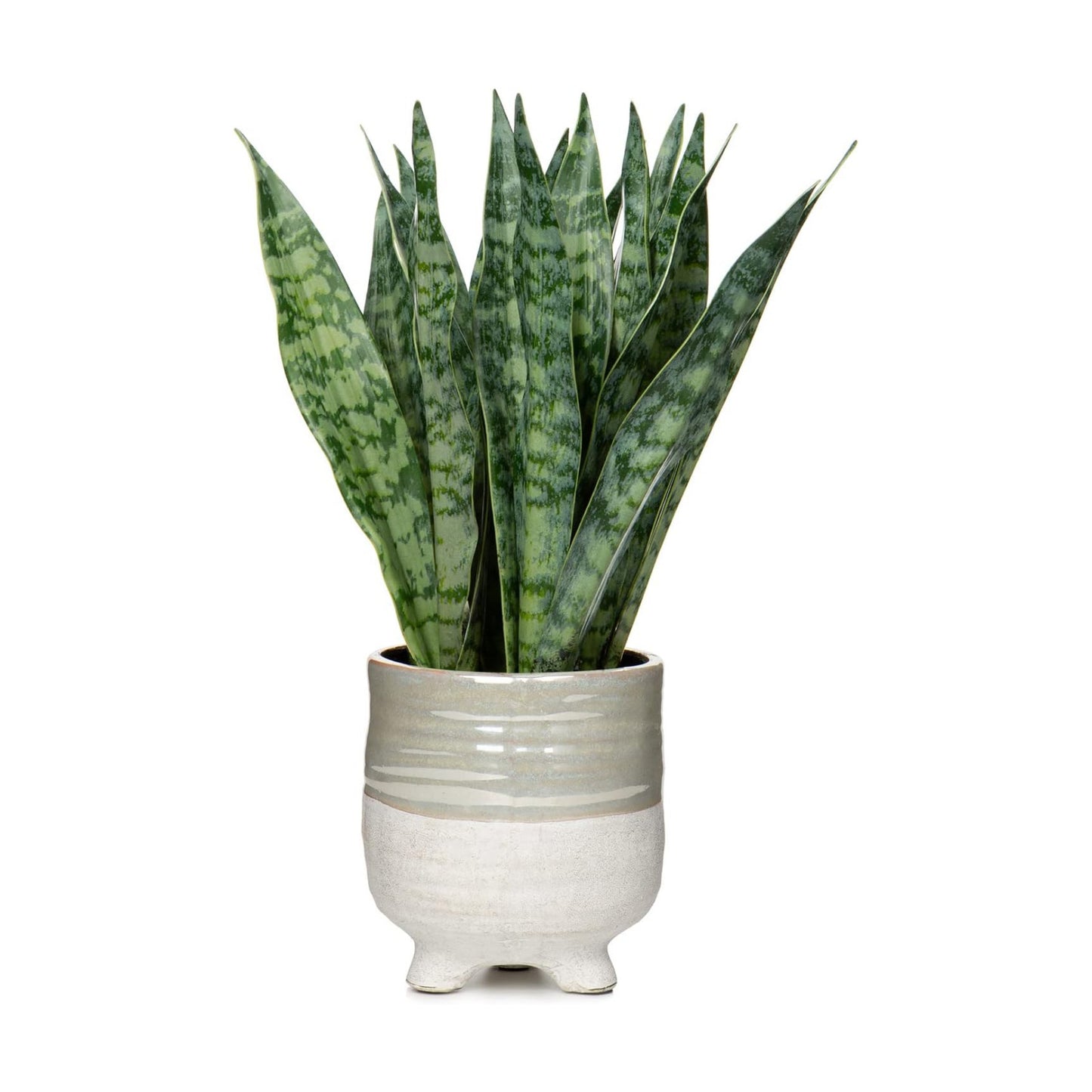 Ceramic Pot Faux Sansevieria Plant / Green-12" Style 1 / 12 Inch