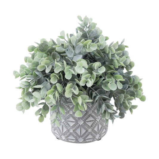 Artificial Eucalyptus Plant in Modern Gray Concrete Pots / Grey