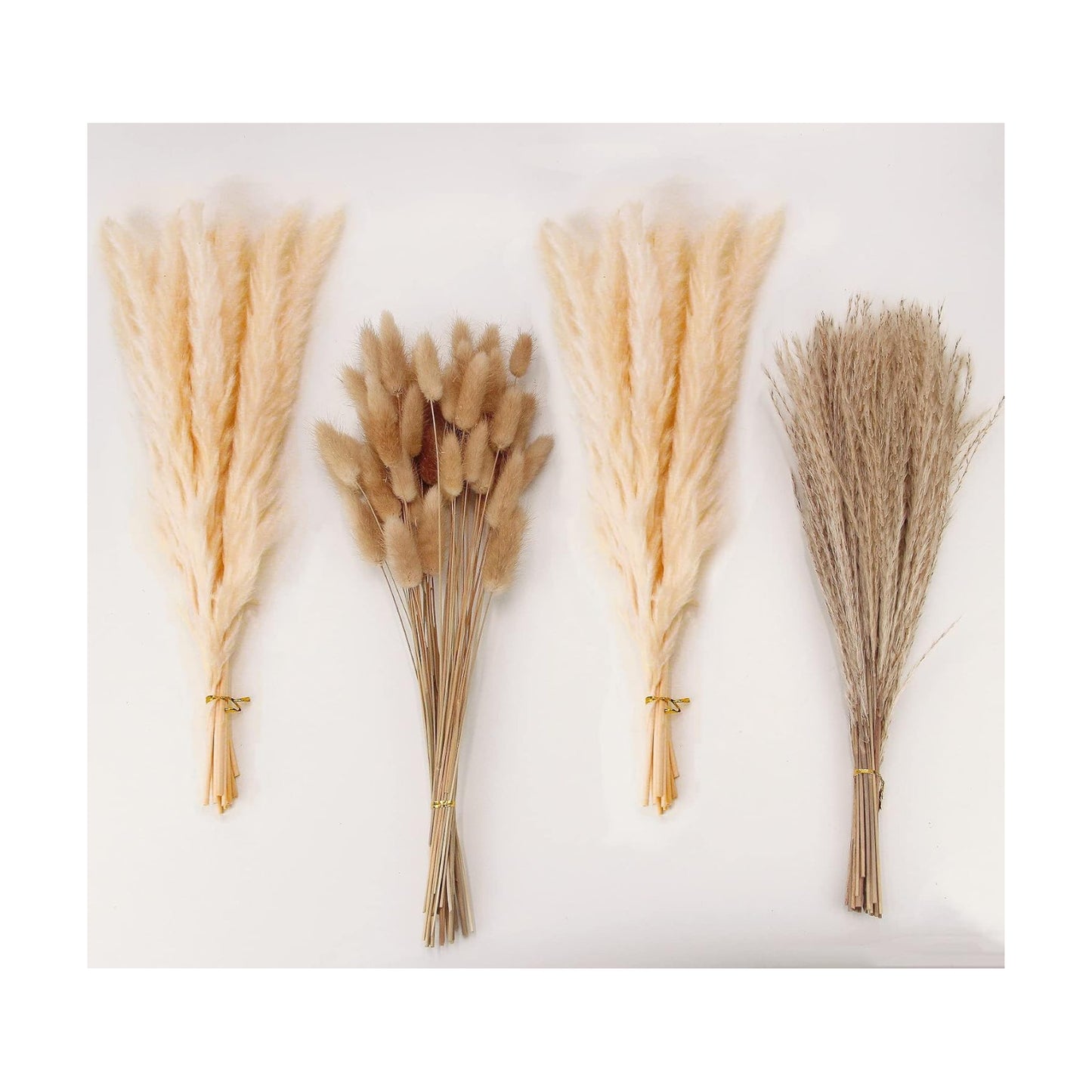 Natural Dried Pampas Grass Decor, Beige Pampas Grass, Bunny Tails Dried Flowers, Reed Grass Bouquet for Wedding Boho