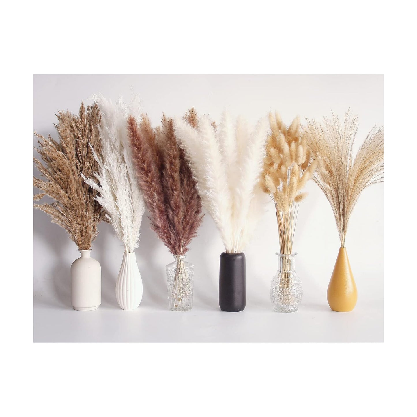 Bunny Tails Dried Flowers / Pampas Grass / Brown / Set of 110