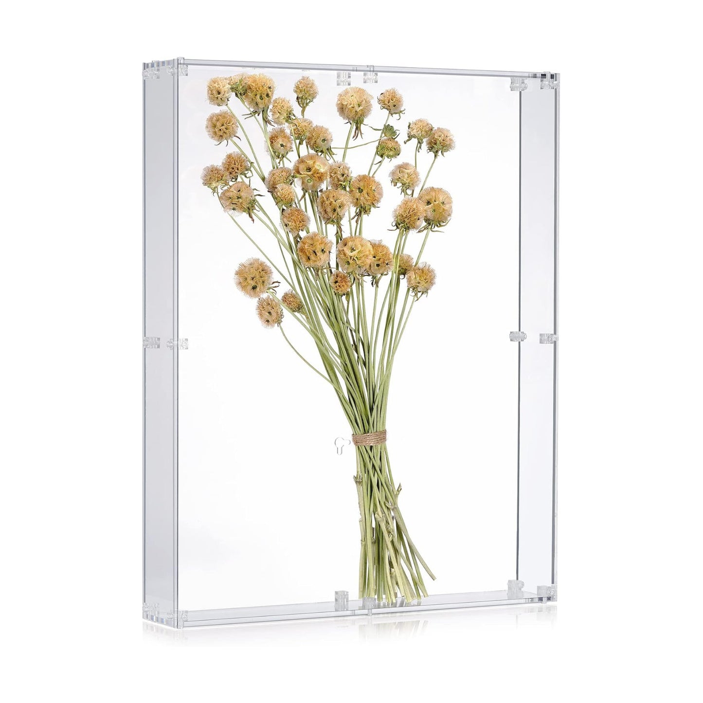 16x20 Acrylic Shadow Box, Assemble Display Case, DIY Tabletop/Wall Mount Display Frame, All Clear Memory Box for Dried