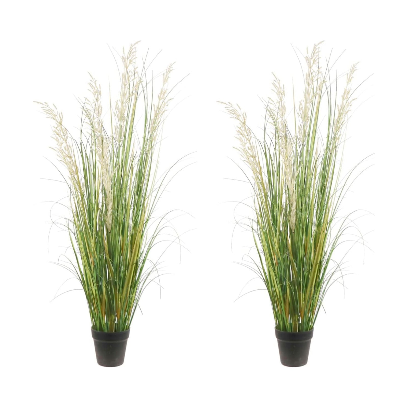 Artificial Plant / Faux House Plant in Pot / 4ft / 47 Inch / Set of 2
