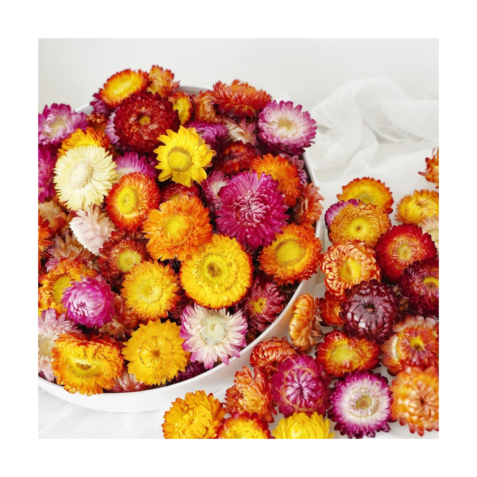 Dry Flower Arrangements / Natural / Set of 40