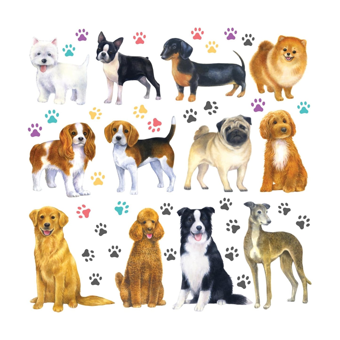 DS8-8045 Wall Decals Stickers Kids Peel and Stick Removable paw décor Print Room Bone Puppy / Dogs