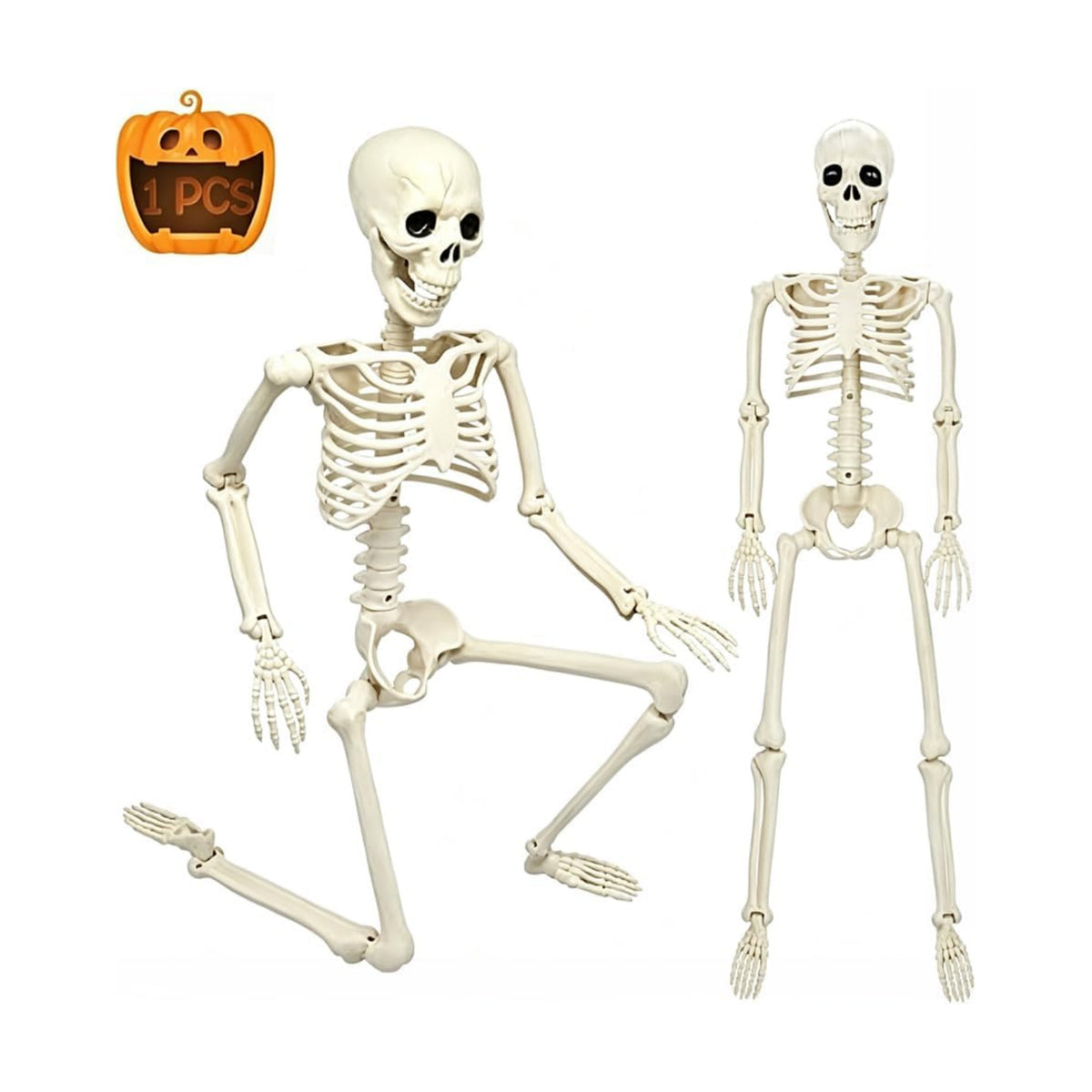 CAMIRUS 3FT Skeleton, 36" Full Body Skeleton with Movable Posable Joints, Realistic Plastic Bones Halloween Prop for Outdoor Haunted House Decorations