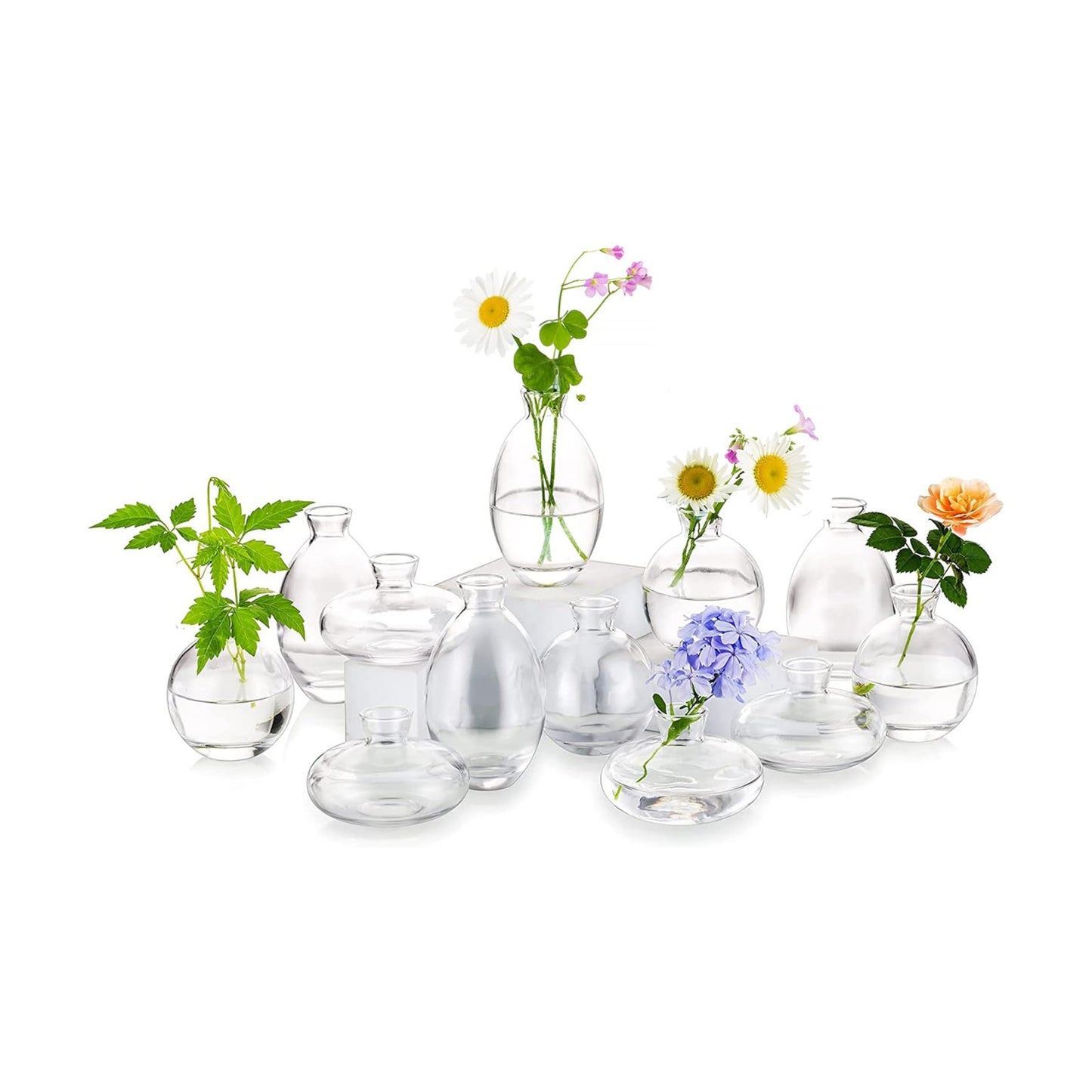 Glass Bud Vases / 4sets / Clear / Set of 12