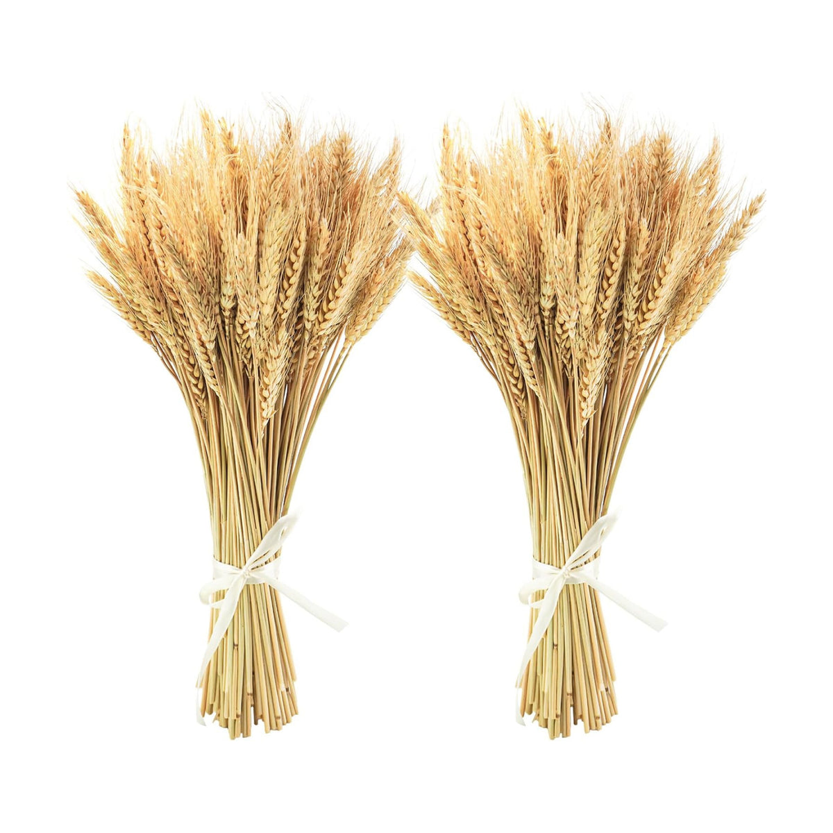 Uieke 600 Stems Dried Wheat Stalks, 17.7 Inches Dried Flowers 100% Natural Wheat for Home Kitchen Wedding Party Table Centerpiece Harvest Wreath Boho Farmhouse DIY Decoration