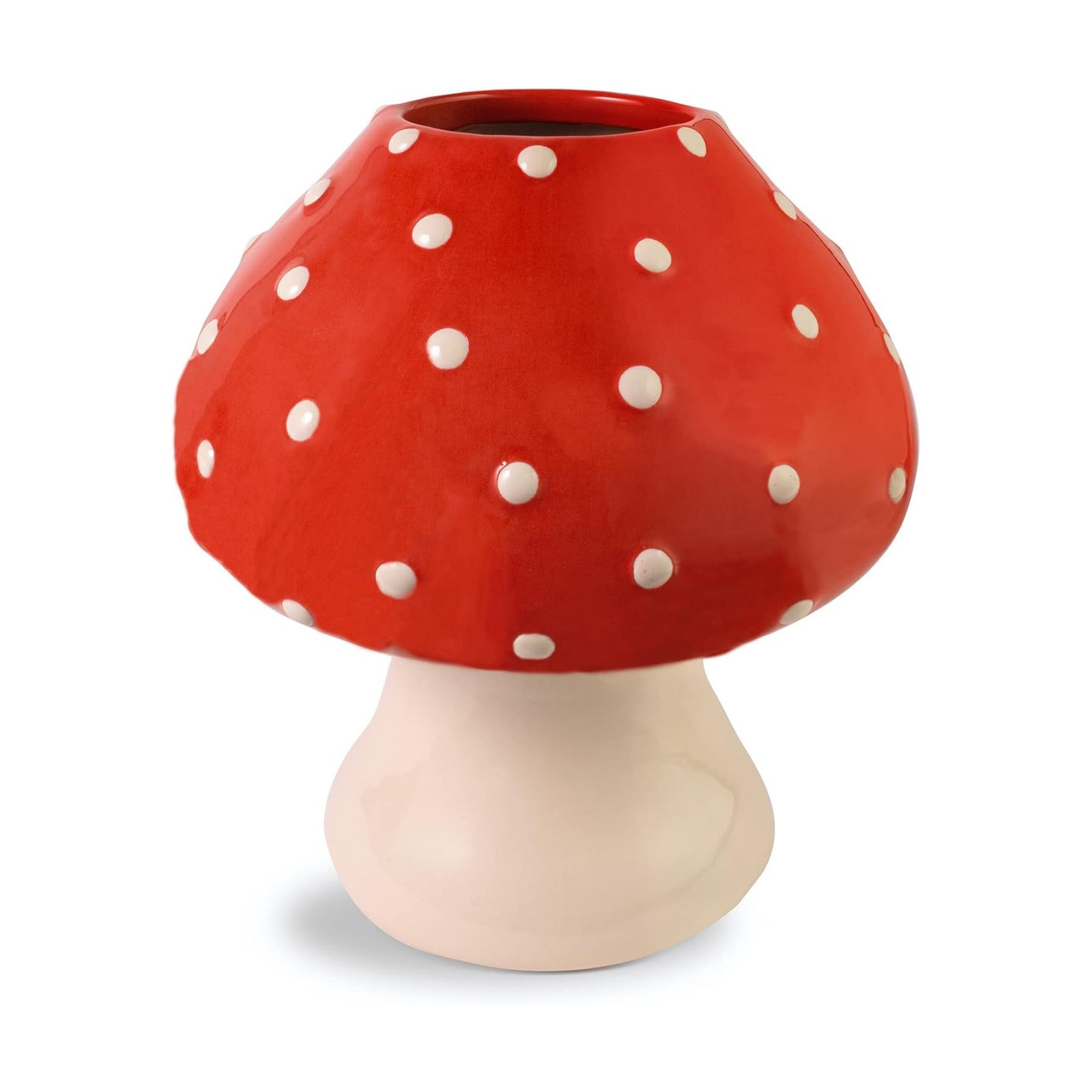 Unique Ceramic Vase / Trendy Flower Vase