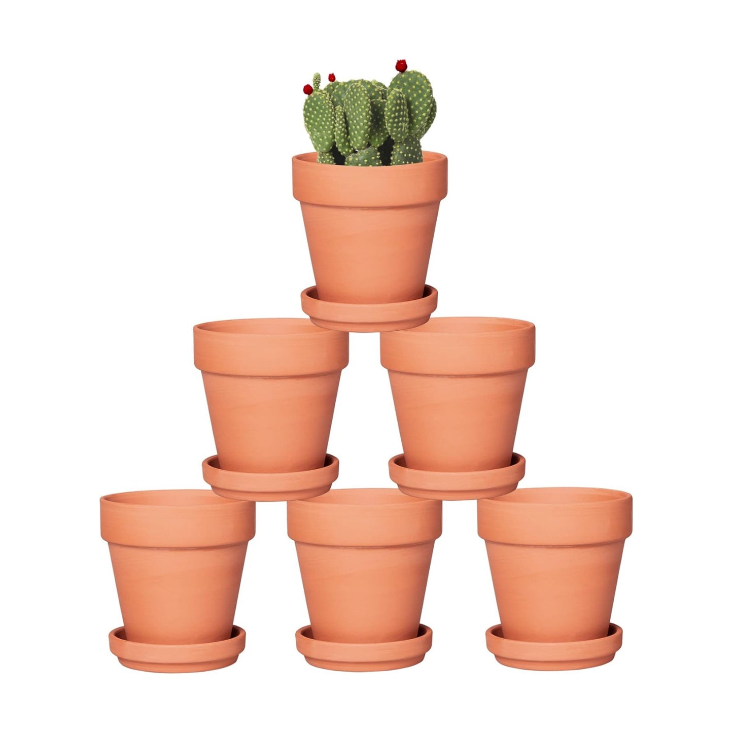Tray / Flower Pots / 4 Inch / Set of 6