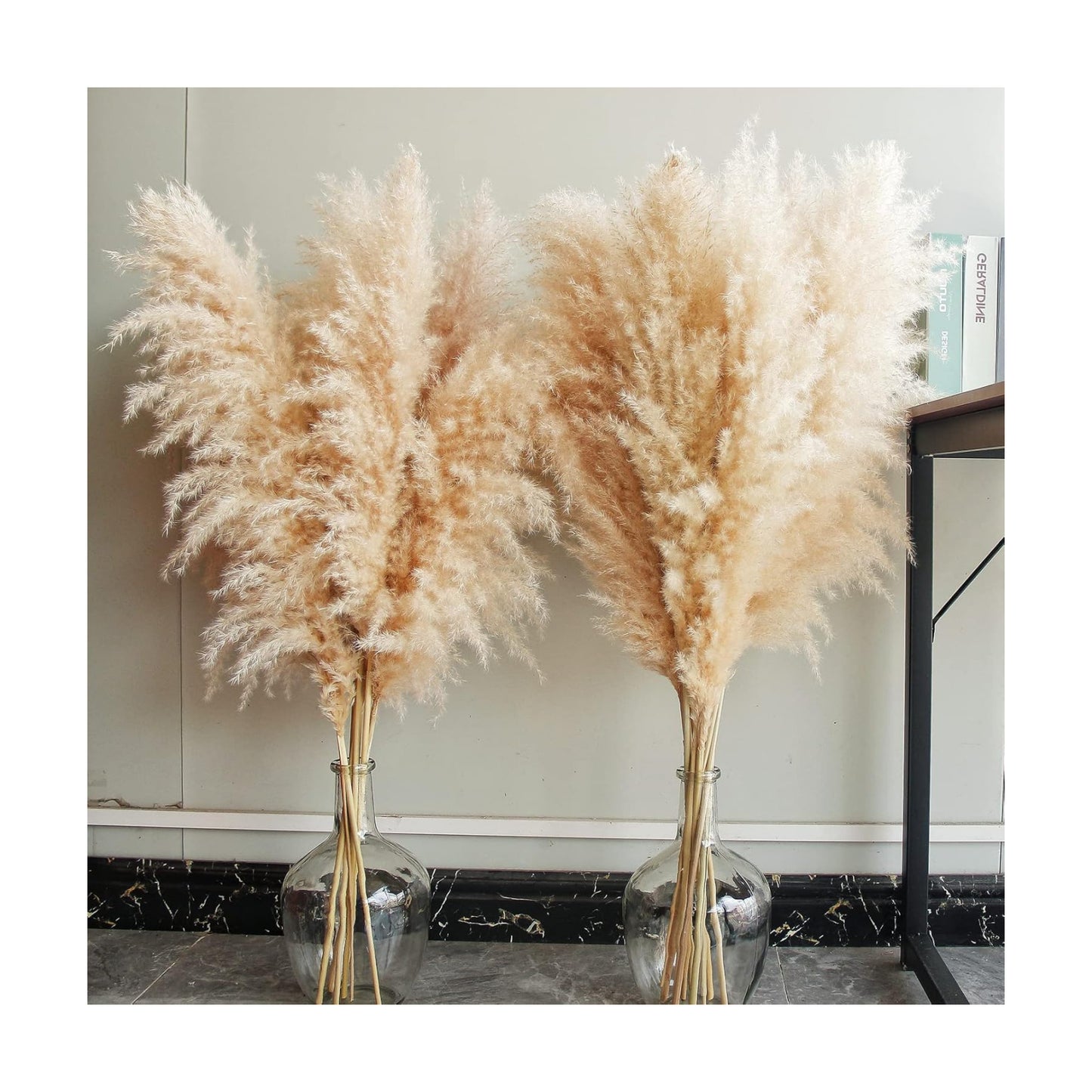 Tall Pampas Grass / Natural / Set of 10