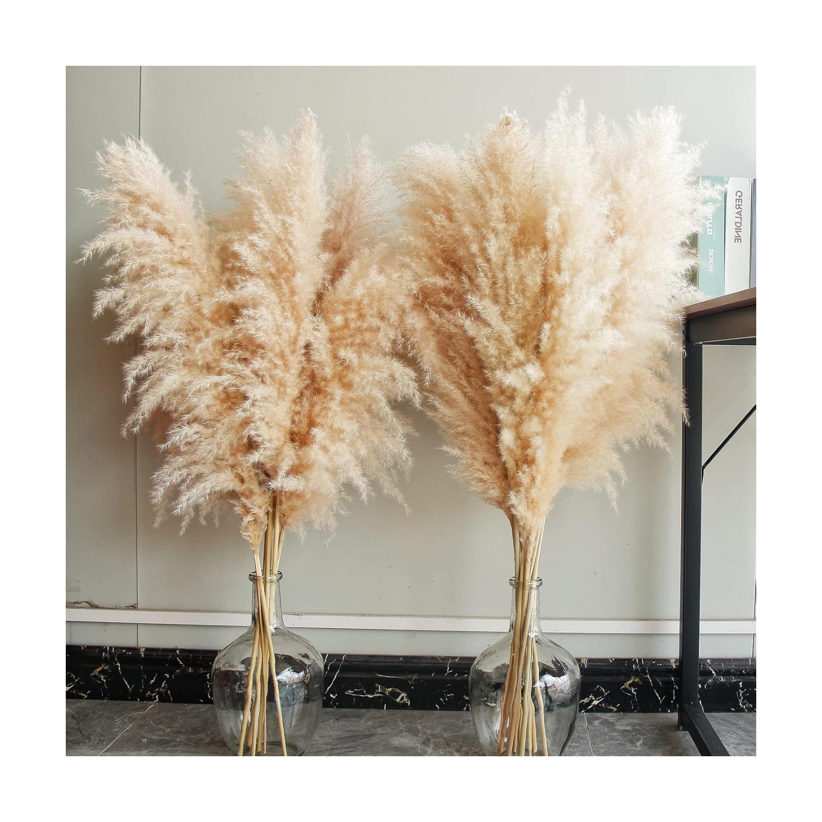 Tall Pampas Grass / Natural / Set of 10