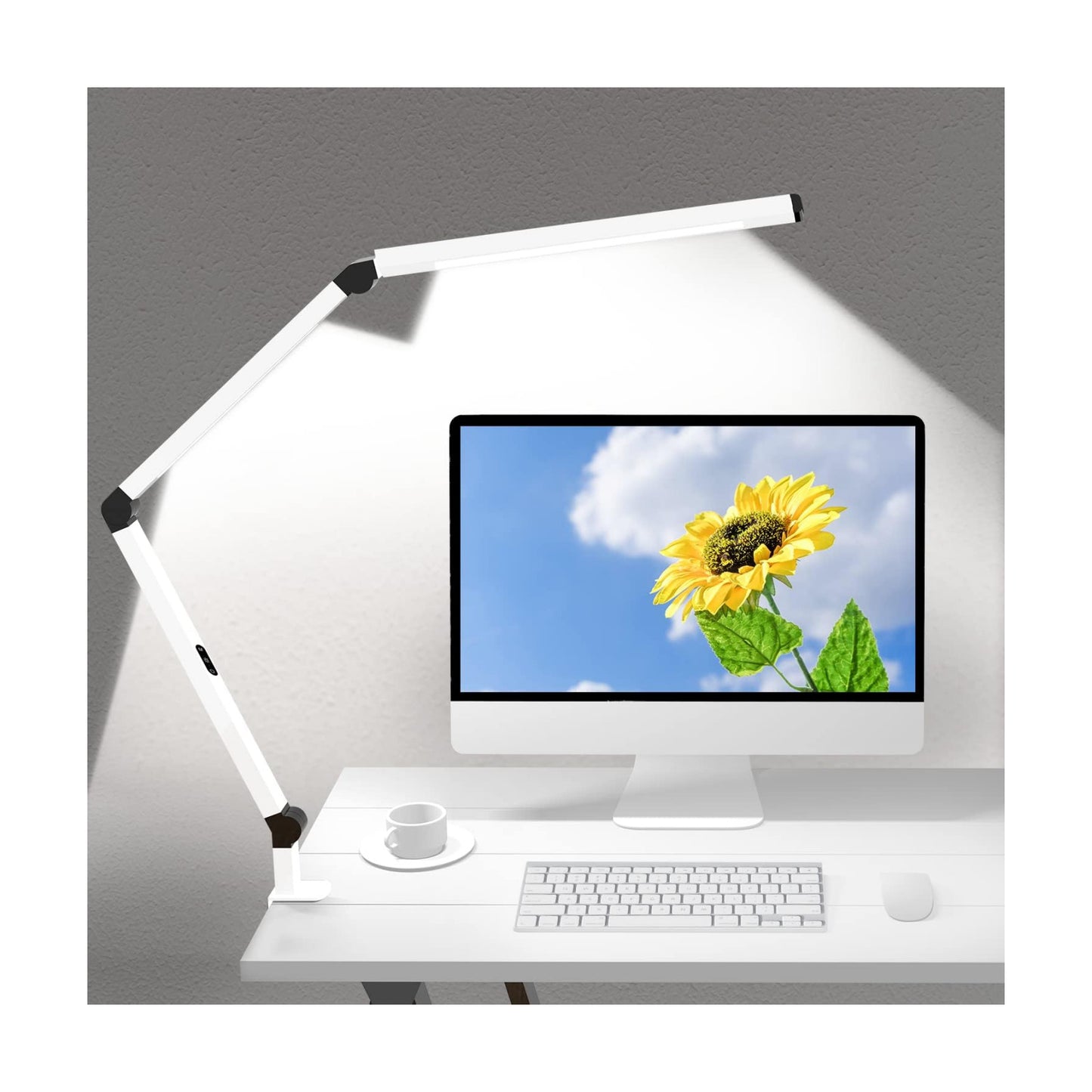 LED Desk Lamp with Clamp, Dual Light Table Lamp with Adjustable Swing Arm, Eye-Care 4 CCT Modes & 5 Brightness Levels