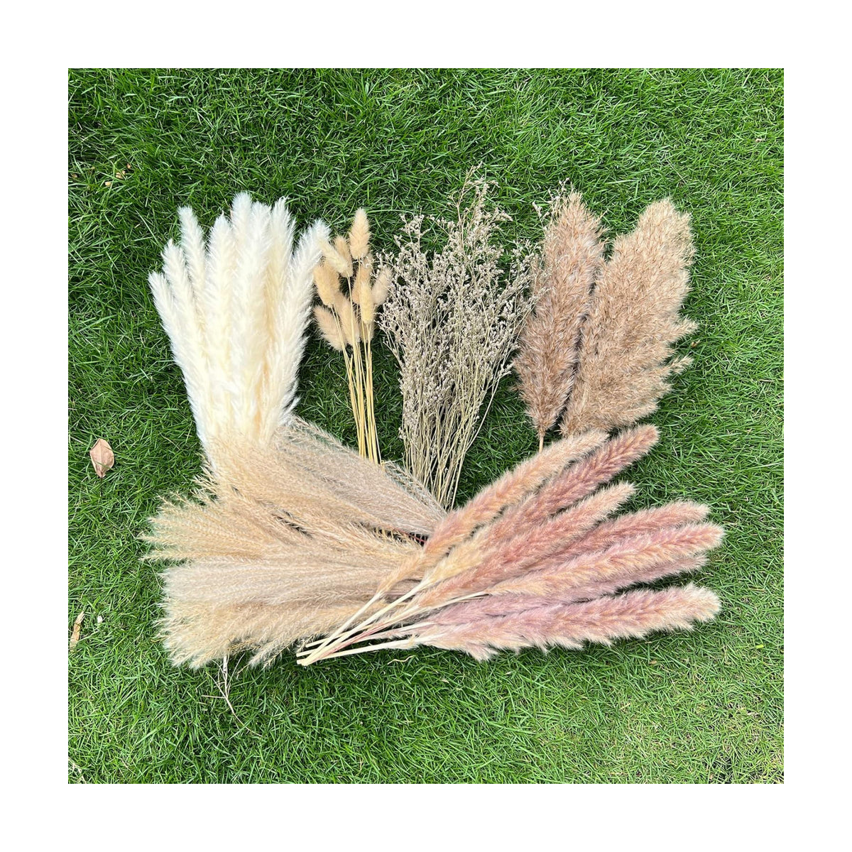 100Pcs Pampas Grass Boho Home Decor 17 inch Natural Dried Flowers-Pampas Grass Contains Bunny Tails White Pampas Brown Pampas.Boho Decor for Farmhouse Wedding Boho Wall Bathroom Office Kitchen…