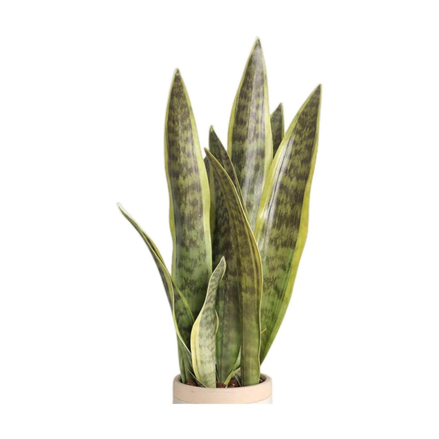 Fake Snake Plant 16.5" Artificial Plant Fake Sansevieria / Green / Set of 3