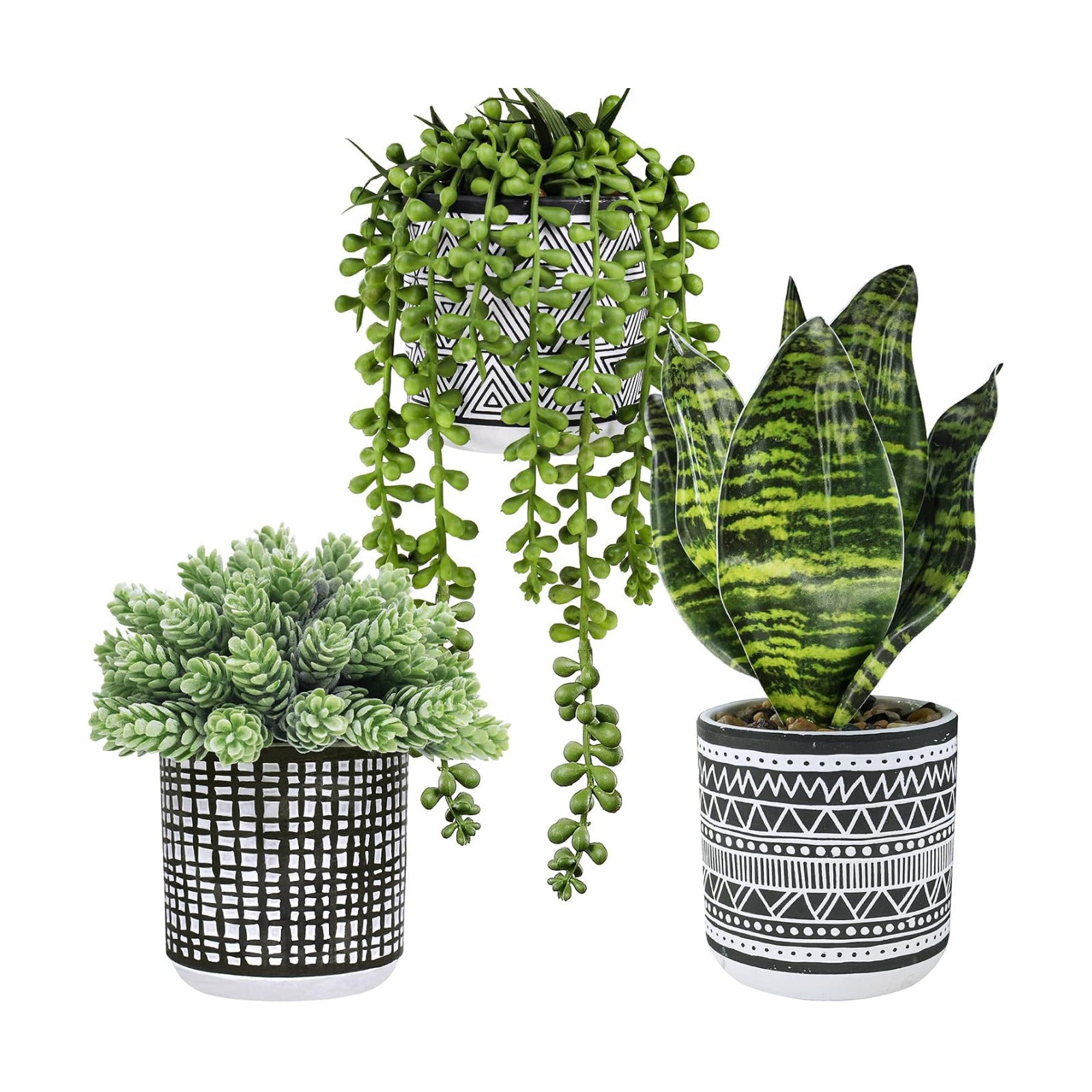 Small Potted Plants Artificial Succulents Hanging Plants and Faux Tropical Snake / Black / Set of 3