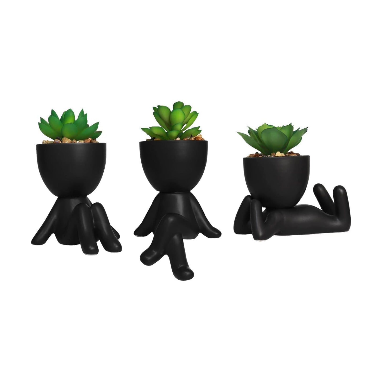 Artificial Succulent Plants / Black / Set of 3