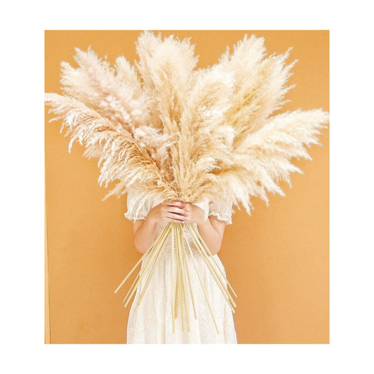 Tall Pampas Grass for Weddingm / Beige