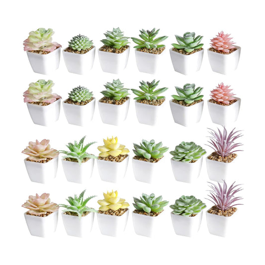 Artificial Faux Succulents in Pots Fake Plants Plastic Arrangement Planter / White-24 / Set of 24