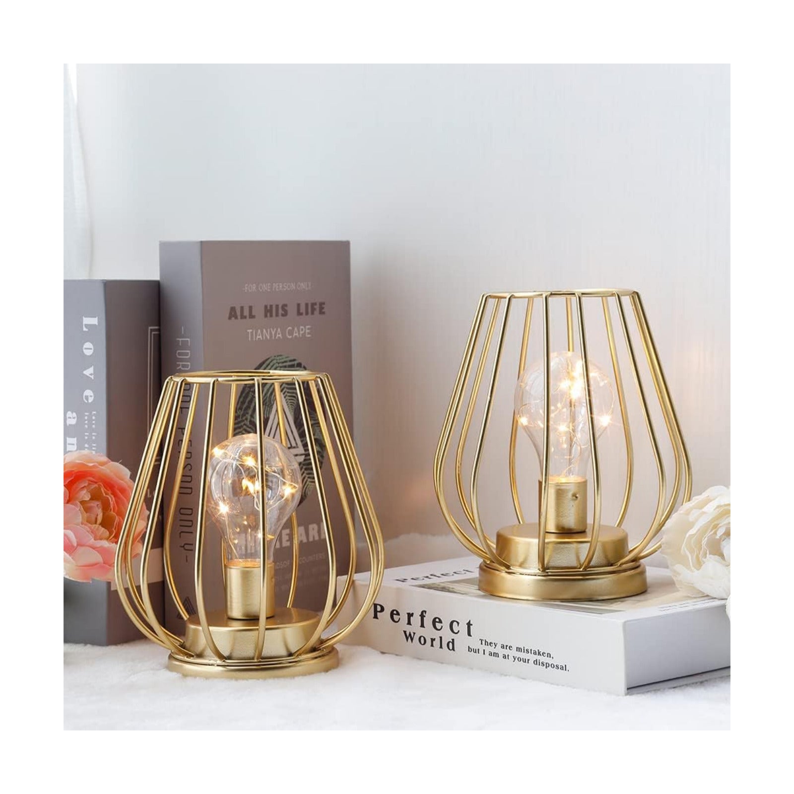 TRIROCKS Set of 2 Metal Battery Operated Lamp 7'' Tall Mini Cage Shape Cordless Table Lamp Battery Lanterns with Warm