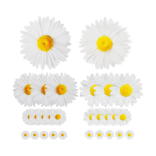 Daisy Wall Stickers Removable Flower Decal