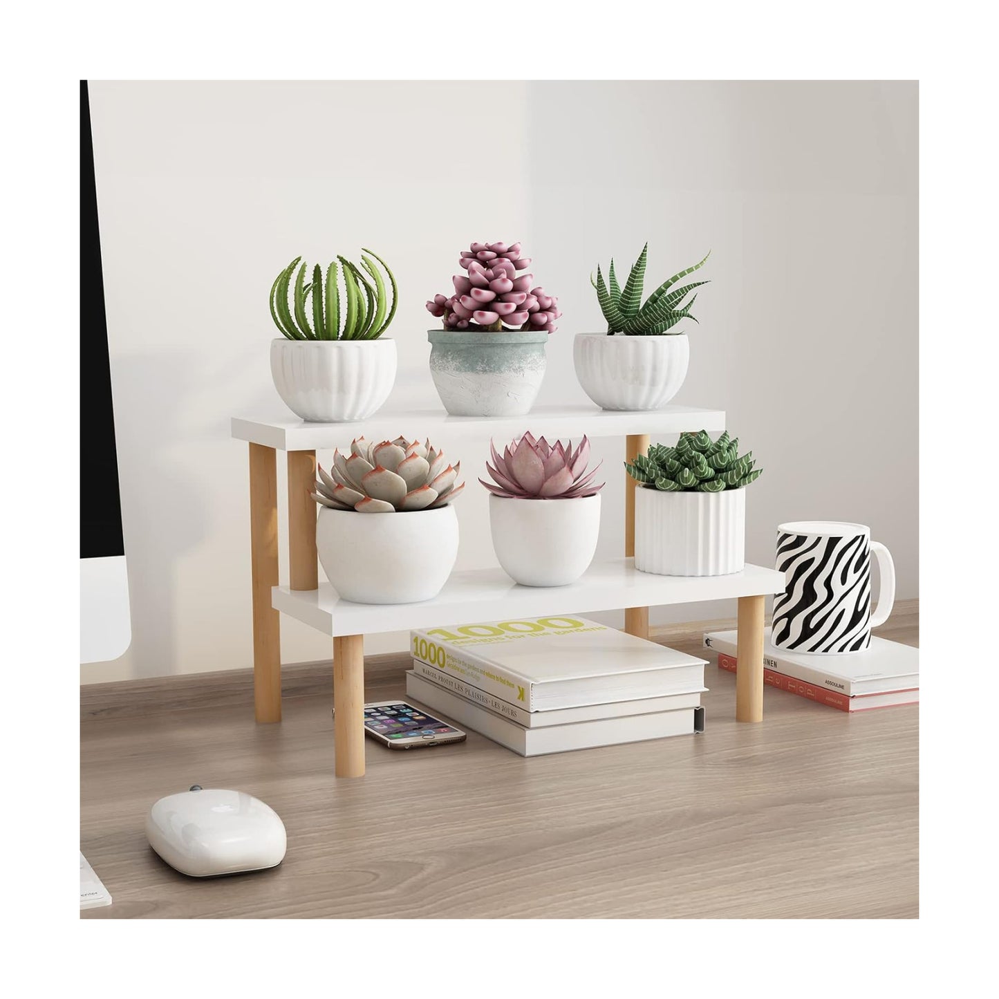 Wood Display Stand for Succulent / 2 Tiers
