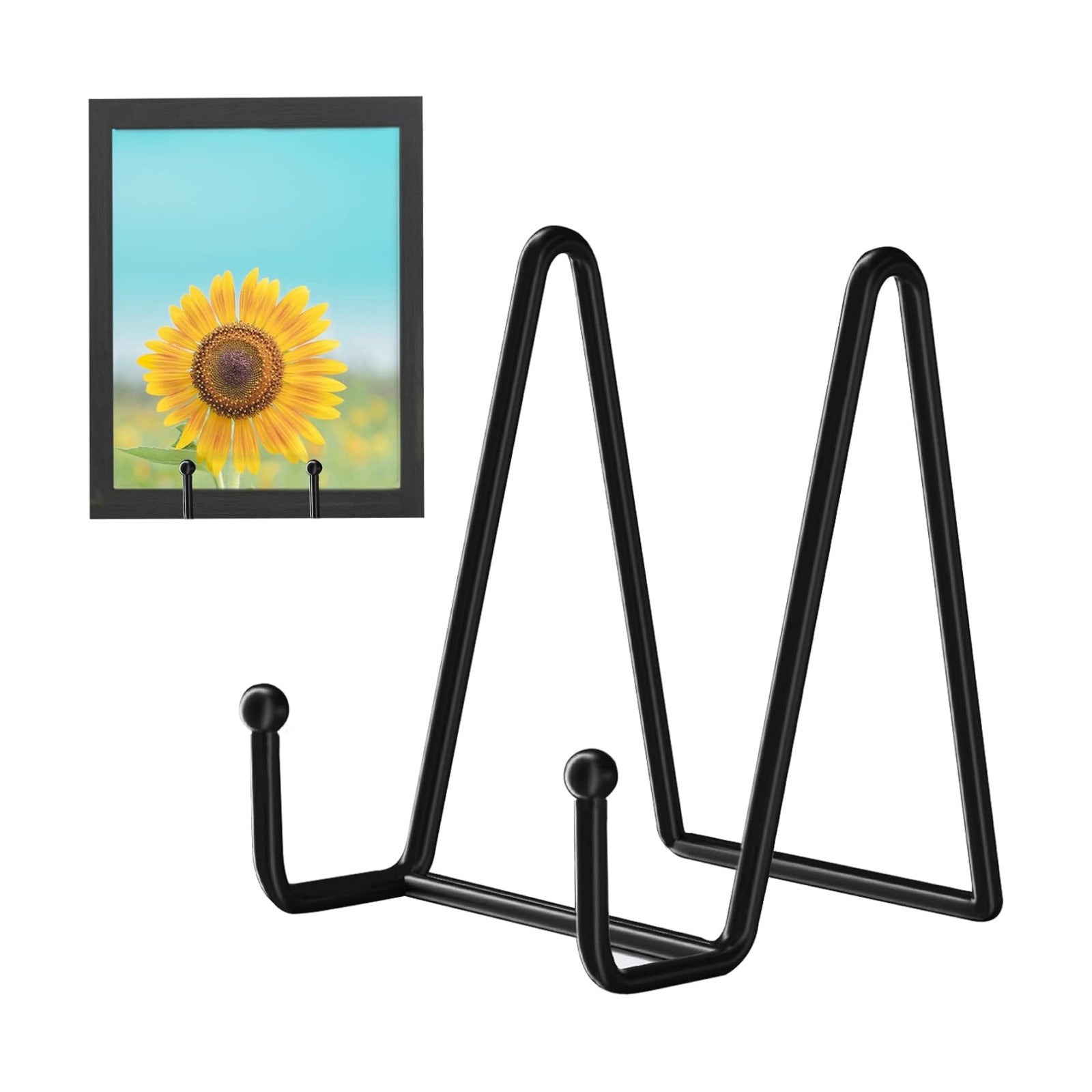 display stands