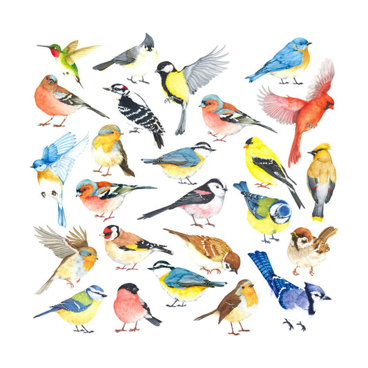 DS4-8063 25 Little Birds Wall Art Decals Stickers Kids Peel and Stick Removable Nursery Bedroom