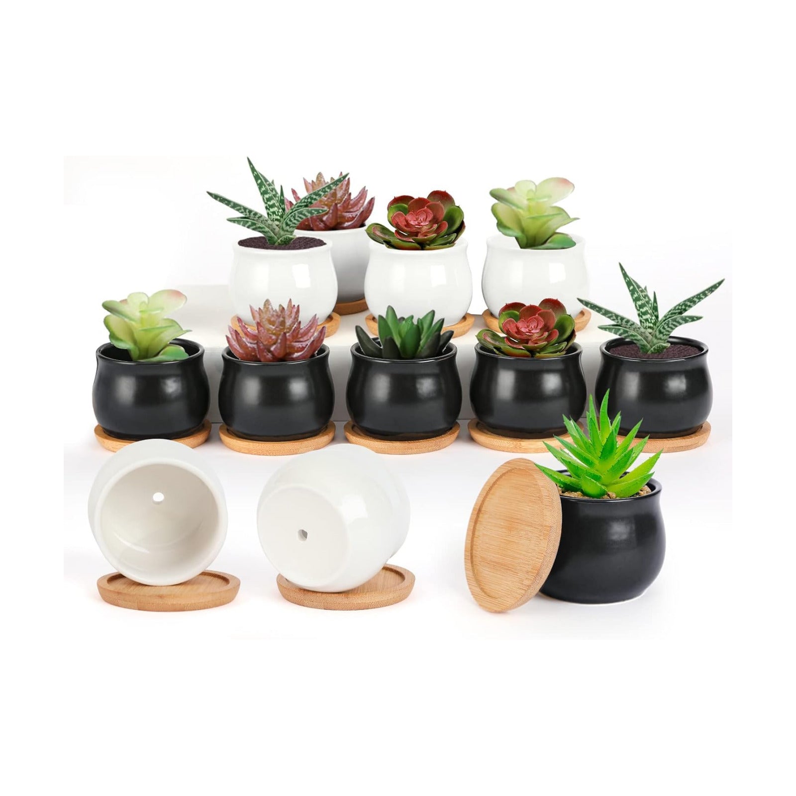 Mini Ceramic Flower Planter Pot / Black,white / 2.6 Inch / Set of 12