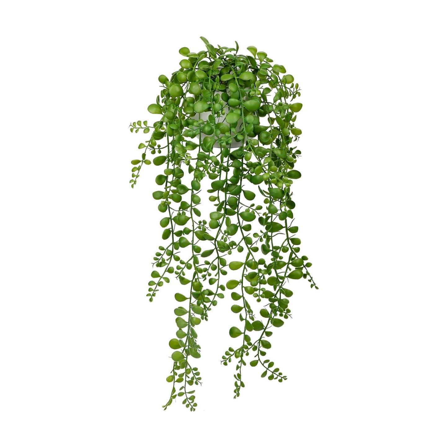 Fake Hanging Plant Large Artificial Hanging Plants 21" Long / Dischidia Oiantha / 21in / White
