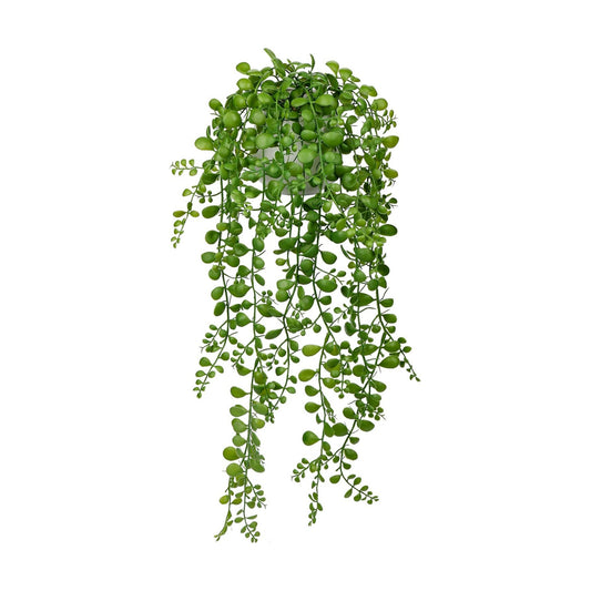 Fake Hanging Plant Large Artificial Hanging Plants 21" Long / Dischidia Oiantha / 21in / White