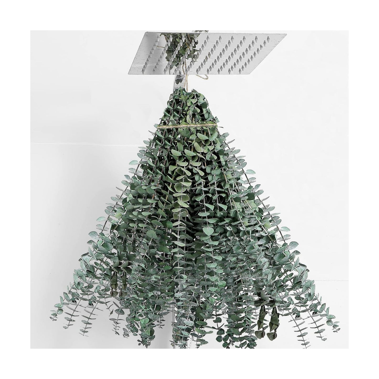 30 Pcs Dried Eucalyptus Stems 17" Real Eucalyptus for Shower Hanging