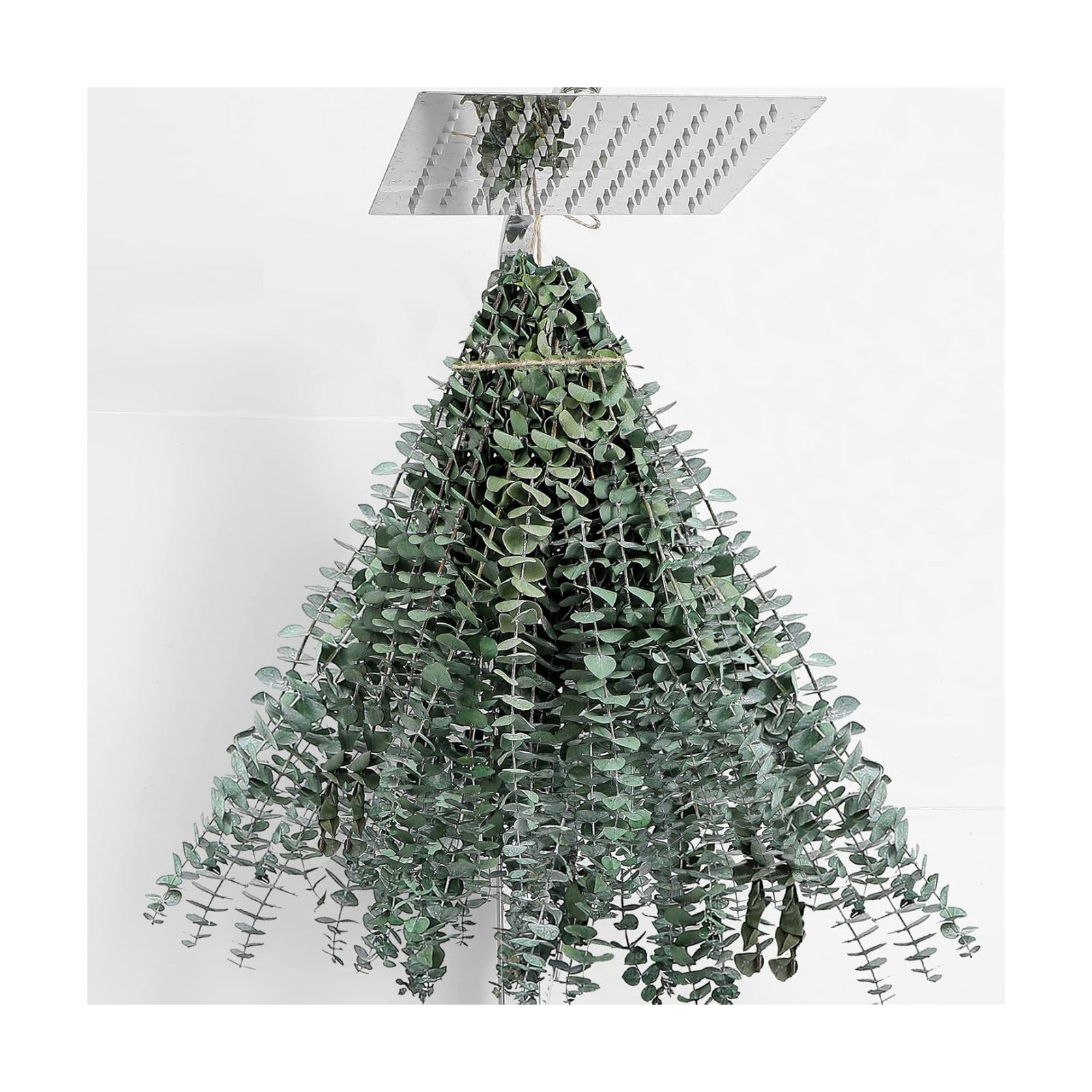 30 Pcs Dried Eucalyptus Stems 17" Real Eucalyptus for Shower Hanging