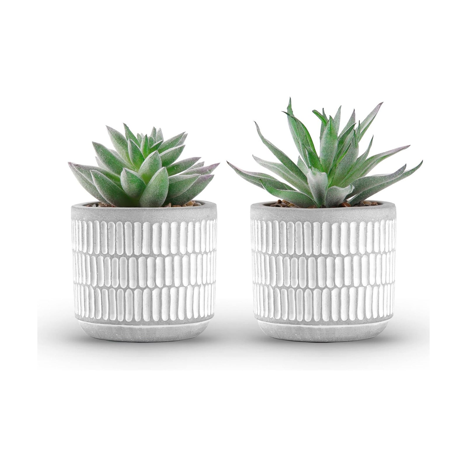 Succulents Plants Artificial Fake Cactus Plants / Set of 2